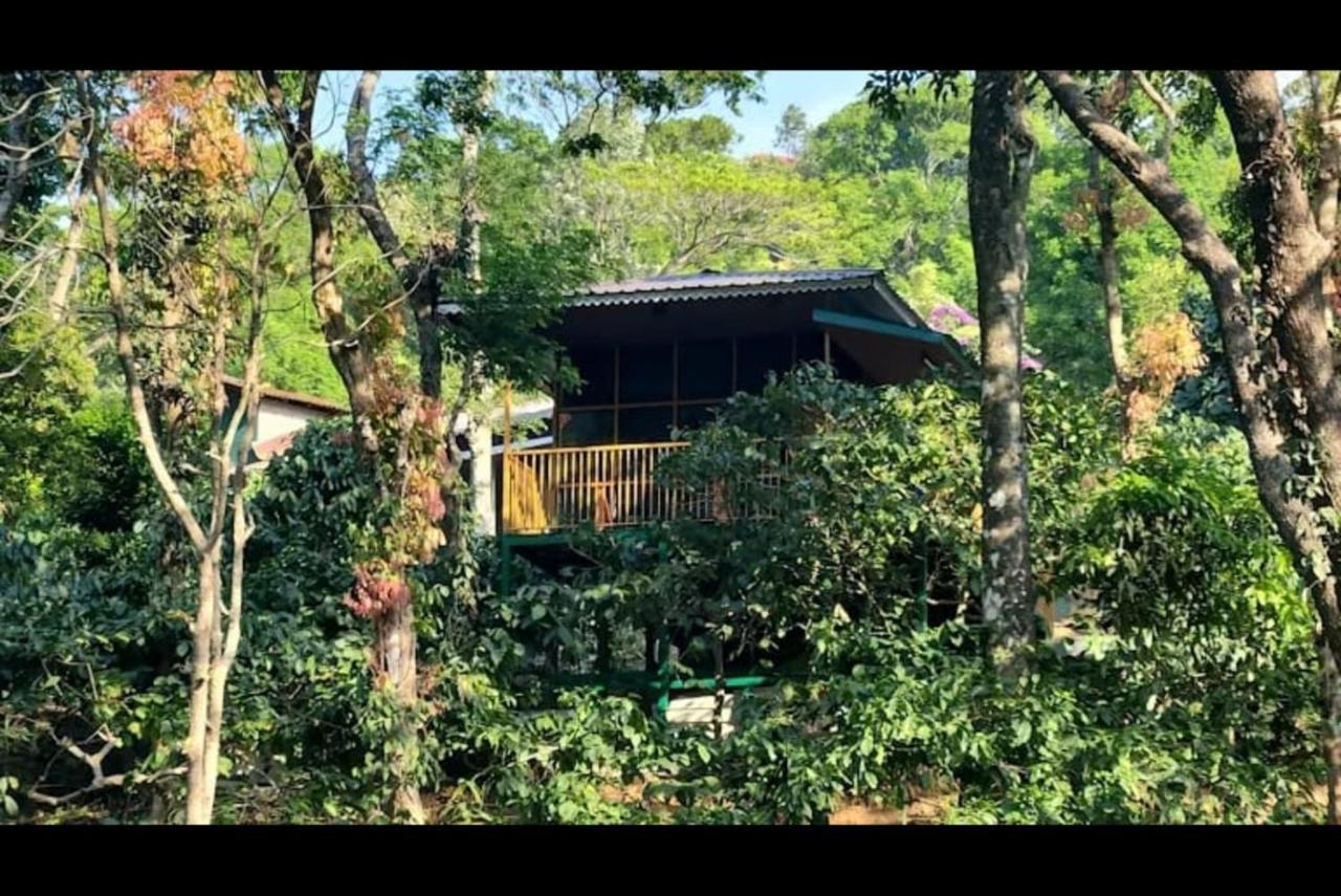 Nelliyampathy Hill Valley Farm House מראה חיצוני תמונה