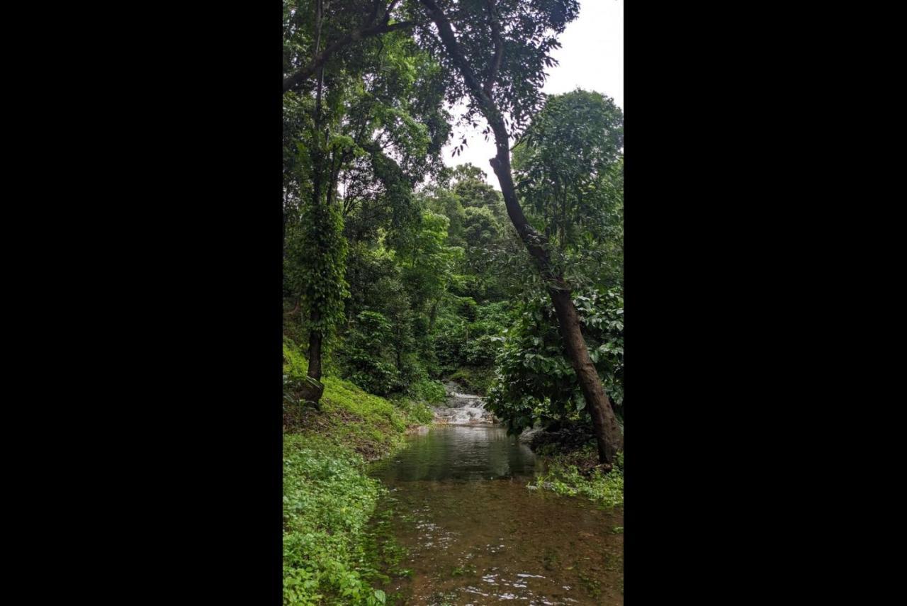 Nelliyampathy Hill Valley Farm House מראה חיצוני תמונה