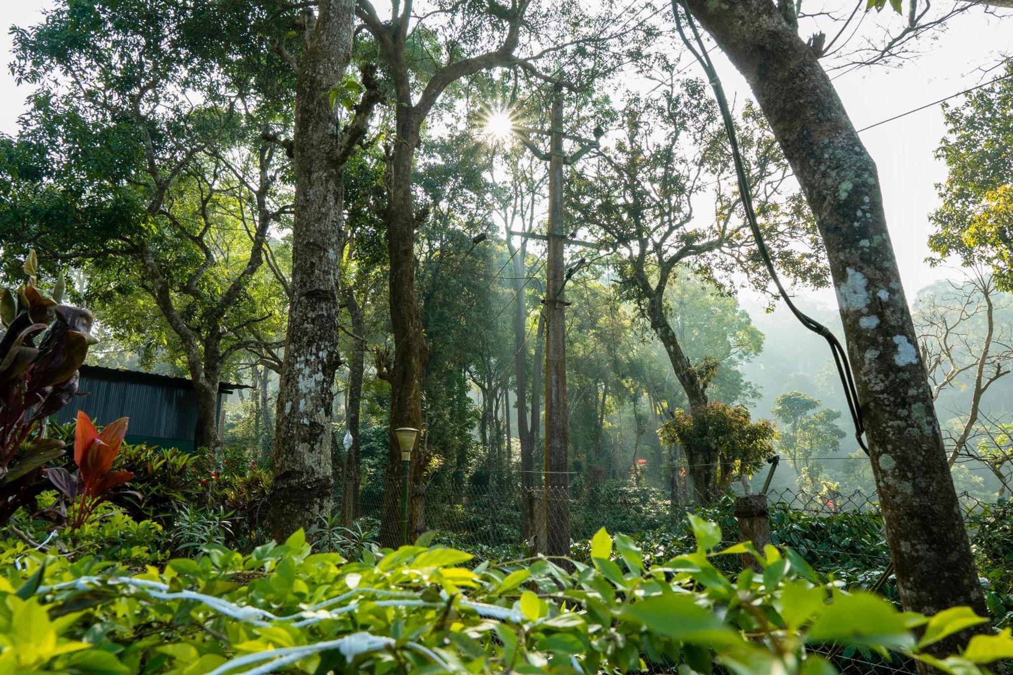 Nelliyampathy Hill Valley Farm House מראה חיצוני תמונה