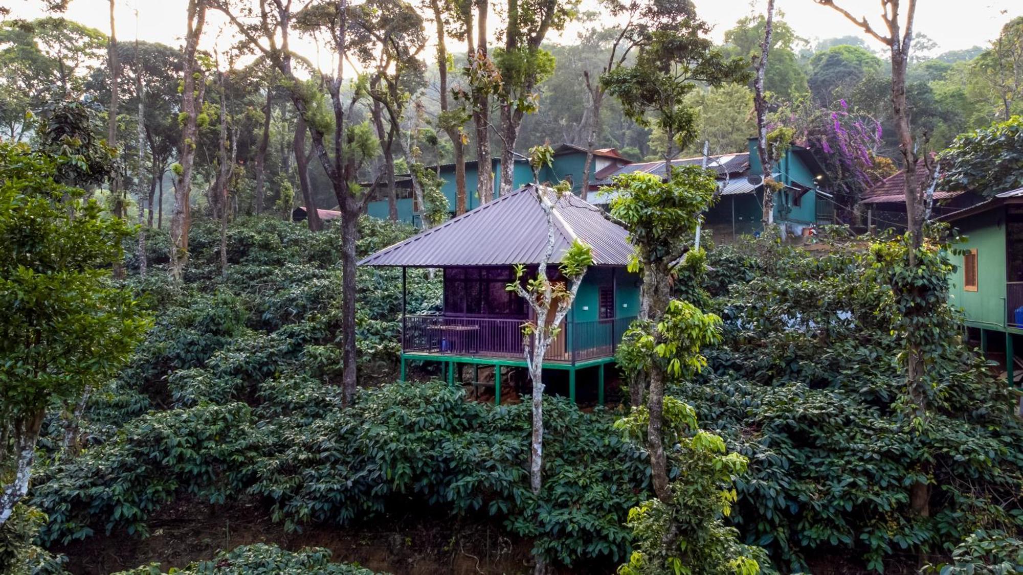 Nelliyampathy Hill Valley Farm House מראה חיצוני תמונה